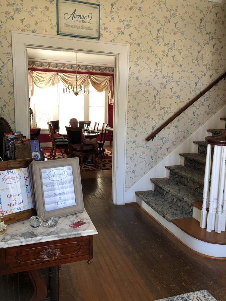 Avenue O Bed & Breakfast - photo 2