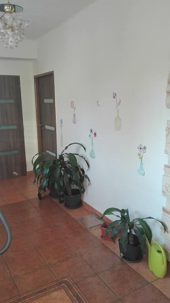 Apartmany Halex 3 — Topolcany — photo 5