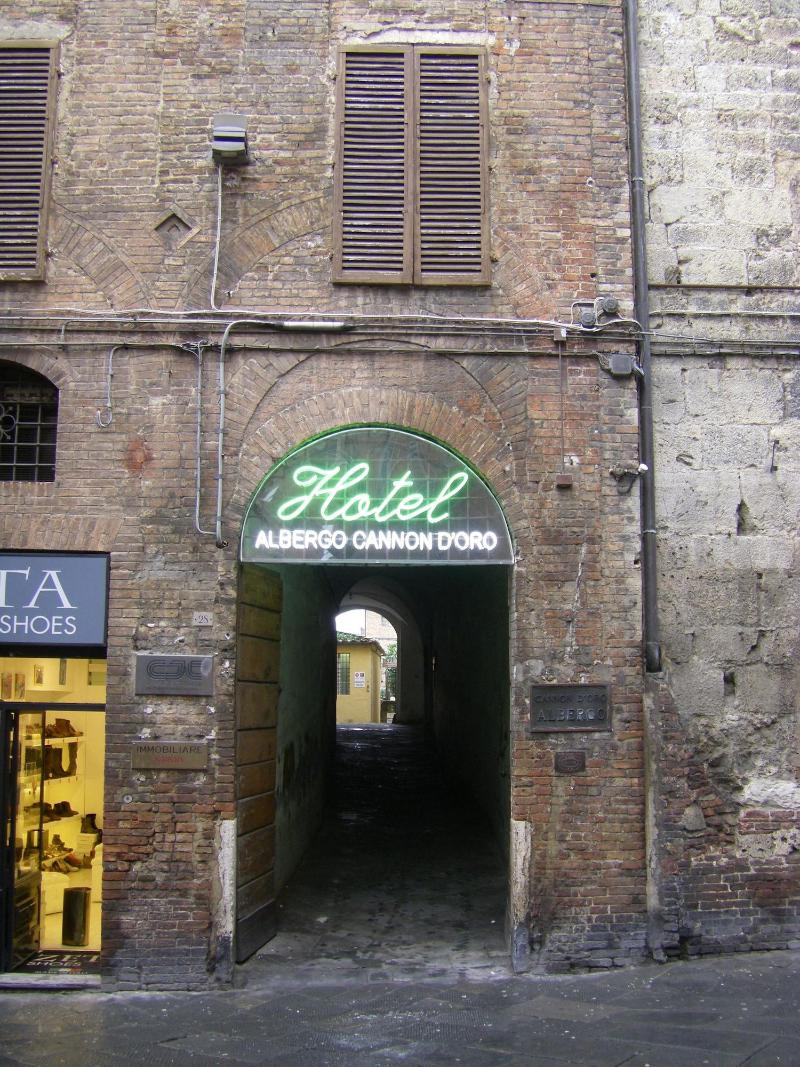 Cannon D Oro — Siena