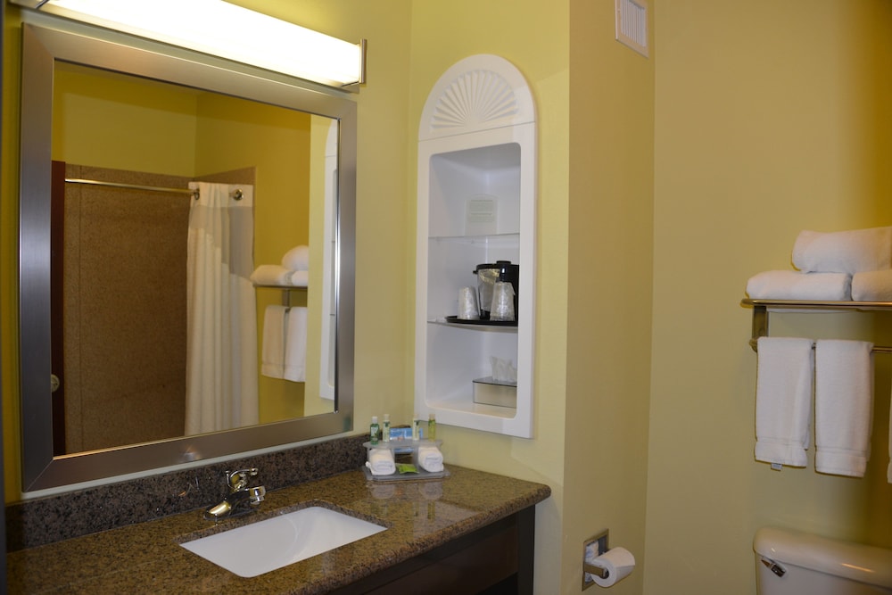 Holiday Inn Express Hotel & Suites Dumas by IHG - photo 27