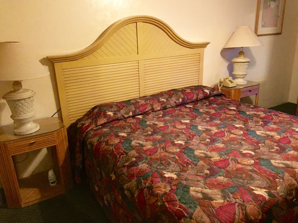 Cadillac Motel Fanning Springs - photo 5