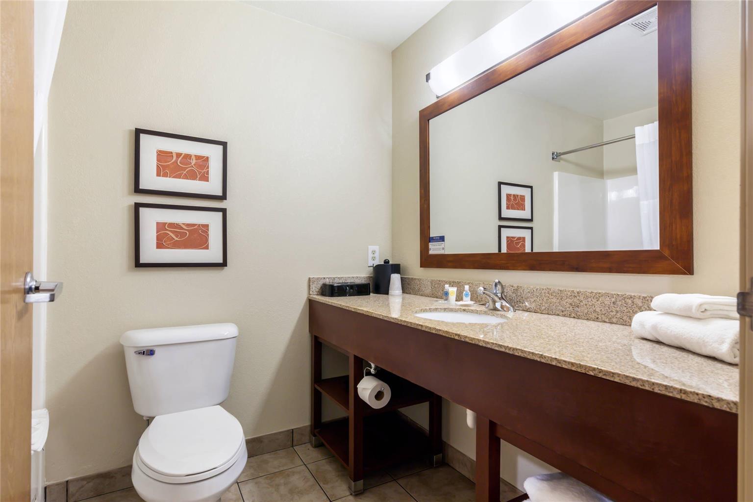 Comfort Suites Johnson Creek Conference Center - photo 14