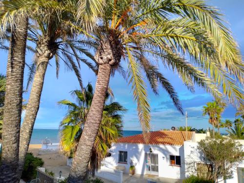 Villa at seafront with private garden 655 — 4-Star Luxury Hotel in Denia, Spain