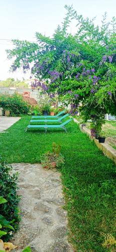 Casa Fiore Olbia — 4-Star Luxury Hotel in Olbia, Italy