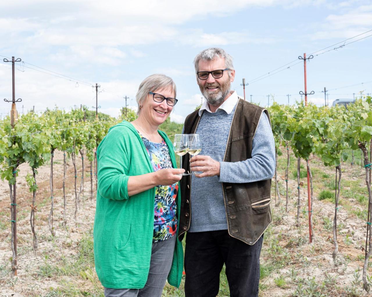 Weingut zur Schlafmütze - last minute hotel in Herrnbaumgarten