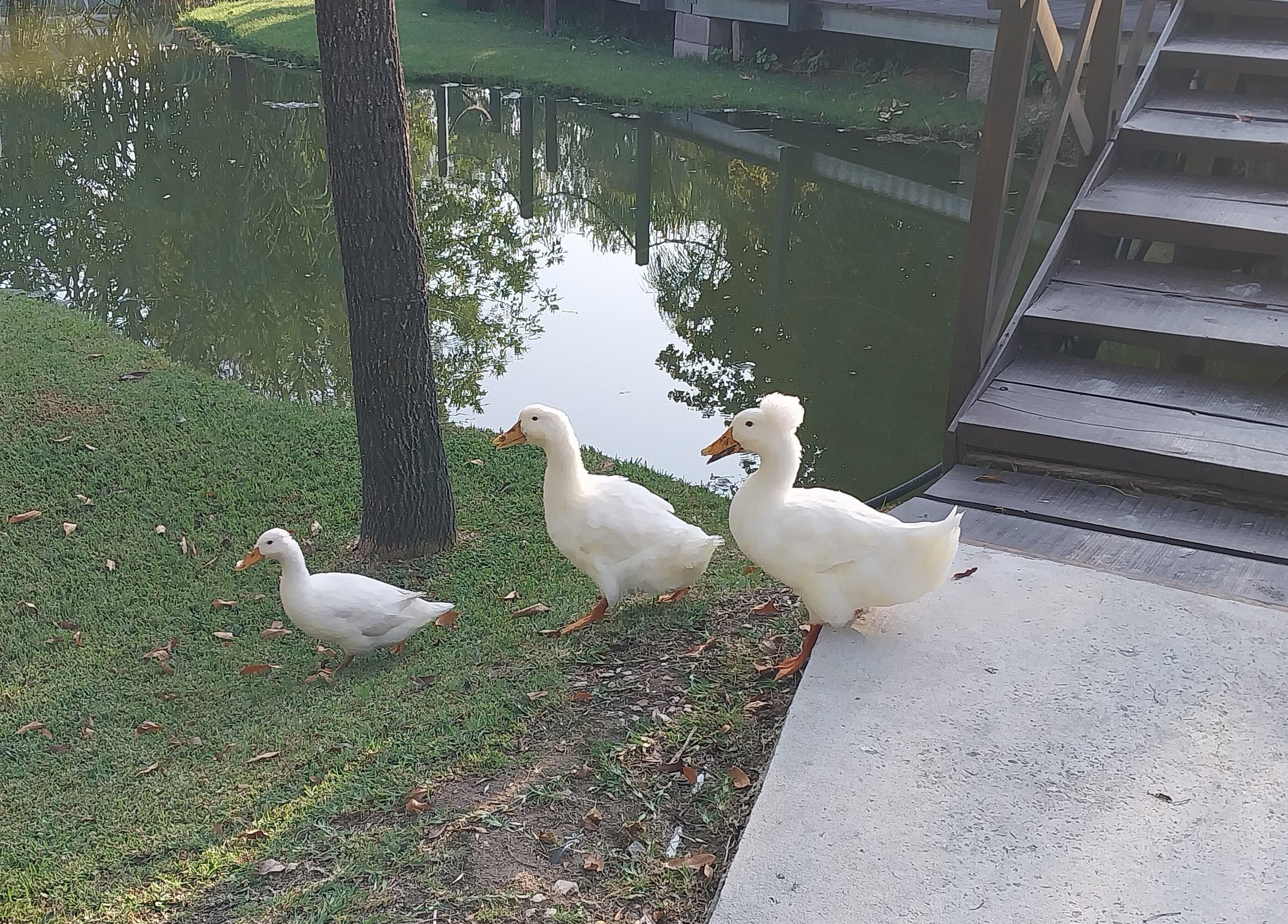 La Posada Multiespacios in Tigre, Argentina