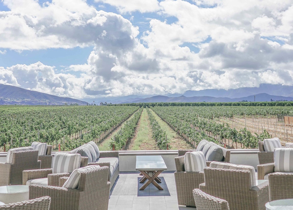 Ponte Vineyard Inn - photo 27