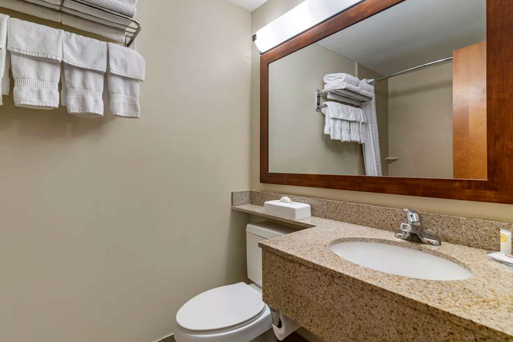 Comfort Inn Glenmont Albany South - photo 20