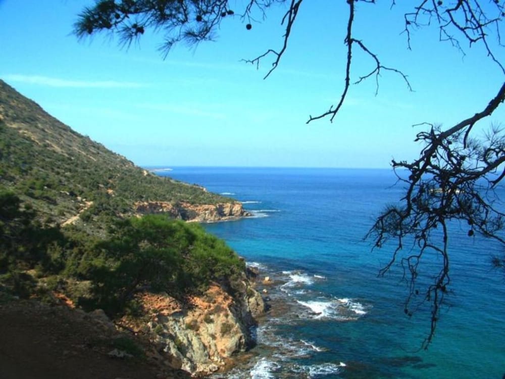 Luxury 4 Bedroom Villa With Private Pool Sotira Villa 1301