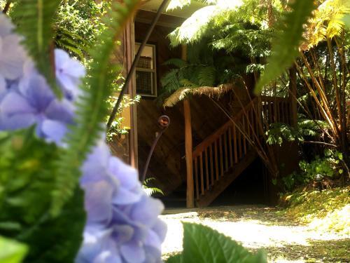 Volcano Inn - photo 23