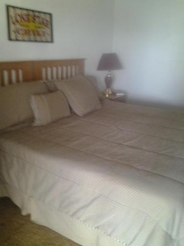 American Star Inn - photo 5