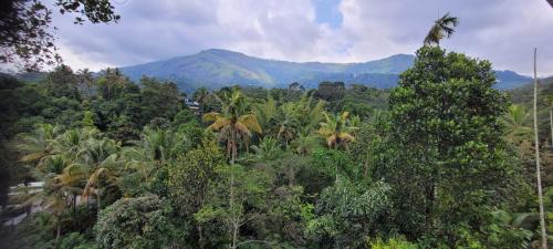 The Lantana Munnar — Munnar — photo 3