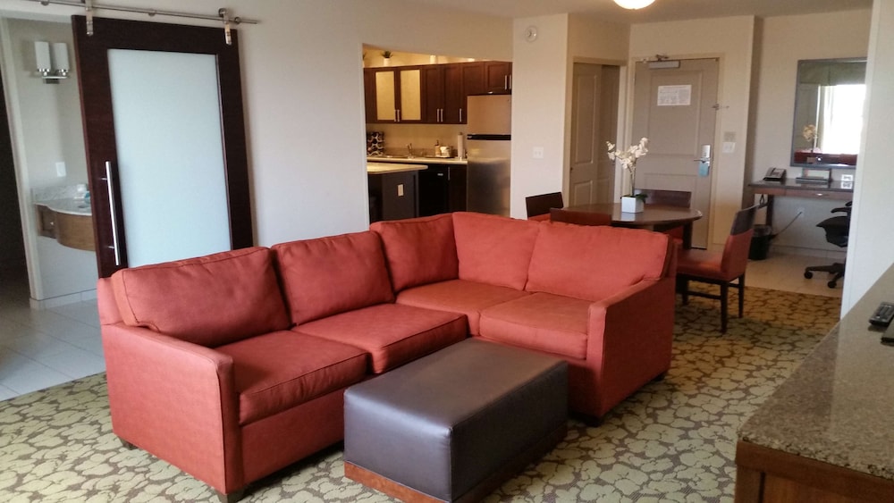 Hilton Garden Inn Olathe - photo 14