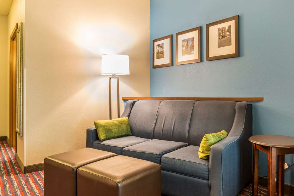 Comfort Suites Fairview Heights St. Louis - photo 17