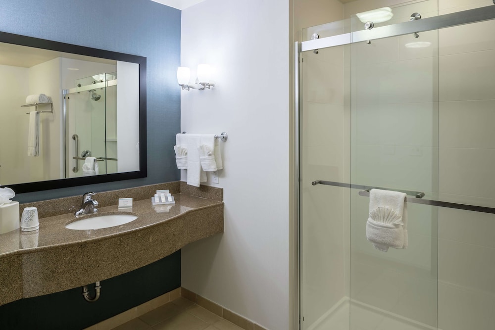 Hilton Garden Inn DFW North Grapevine - photo 27