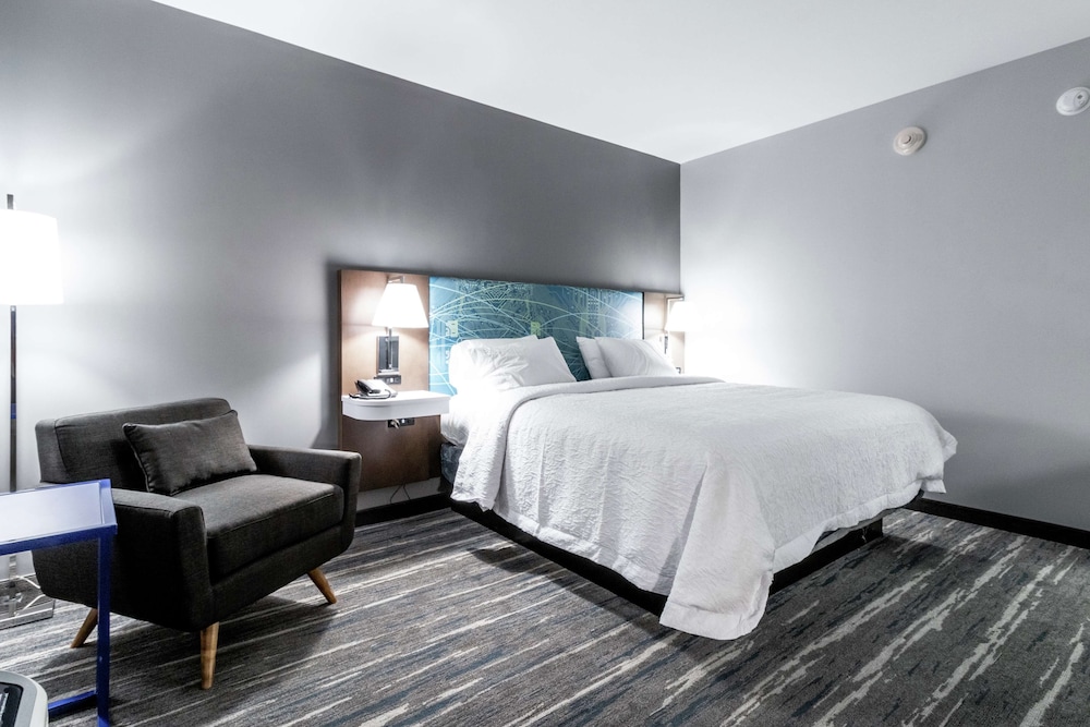 Hampton Inn Locust Grove - photo 4