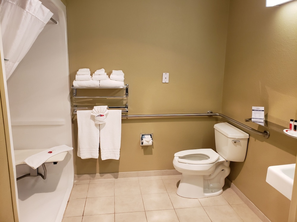 Microtel Inn & Suites by Wyndham Dover - photo 20