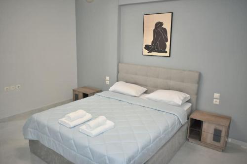 Modern Luxury Suite — Karditsa — photo 3