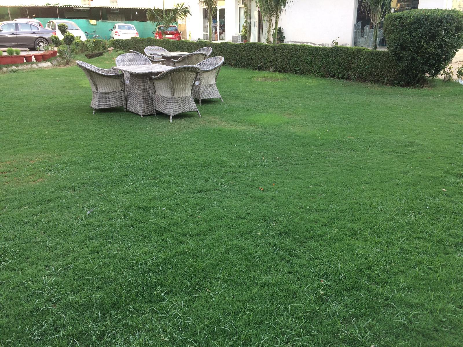 Ds Mezbaan — Gurgaon — photo 5