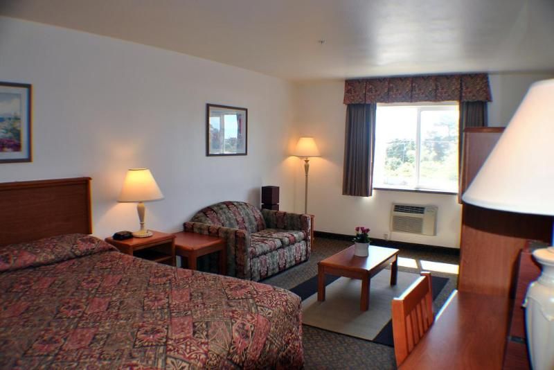Paradise Inn and Suites - photo 10