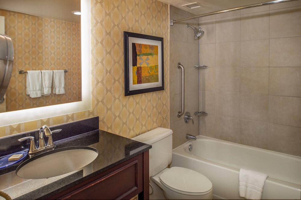 Crowne Plaza St. Louis Airport by IHG - photo 76