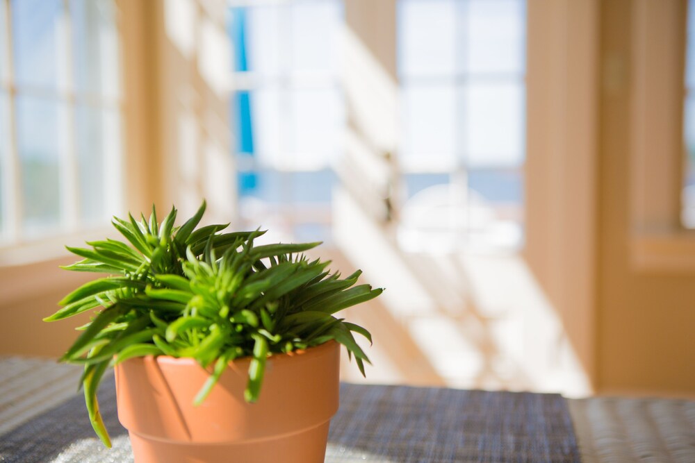 1 West Inn Waterfront in Charlottetown, Canada