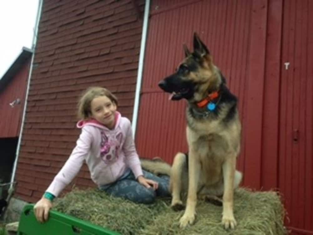 Flint Hill Farm AG - photo 16