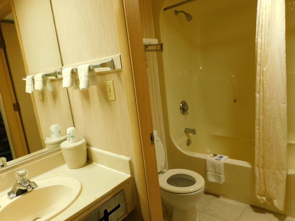 Camilla Inn & Suites - photo 23