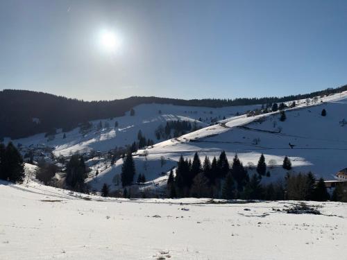 Haus Wiesenquelle Deluxe Apartment 'Feld & Berg' — 4-Star Luxury Hotel in Feldberg, Germany