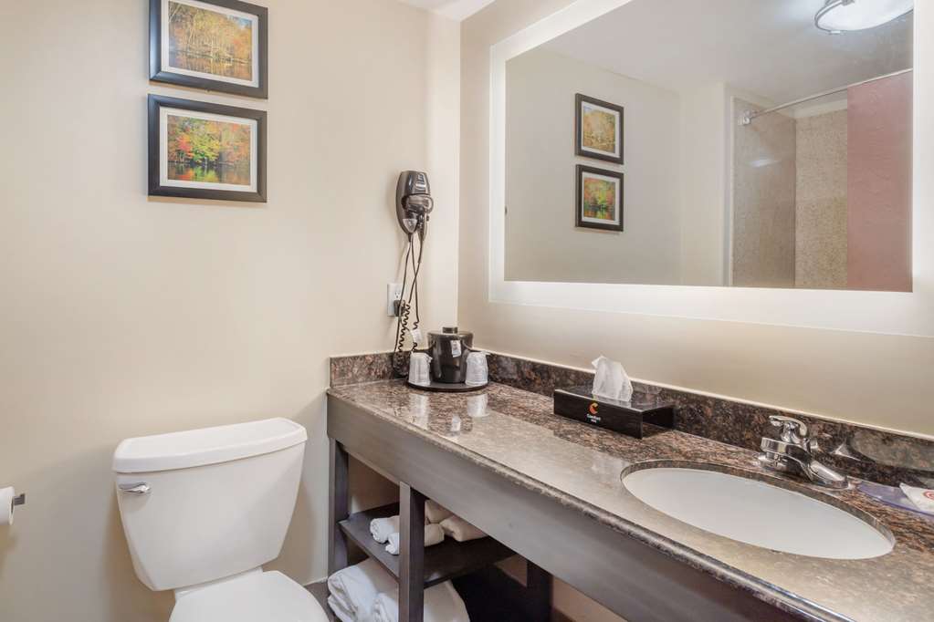 Comfort Inn Orange I 10 - photo 11