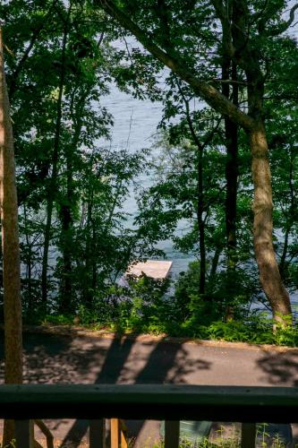 Maple Hide A Way — Unknown City — photo 3