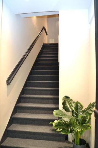 Ca' Dei Buranelli Centro Citta' — 4-Star Luxury Hotel in Treviso, Italy