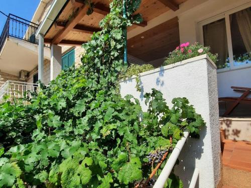 Seaside holiday house Igrane Makarska 24635 — 4-Star Luxury Hotel in Podgora, Croatia