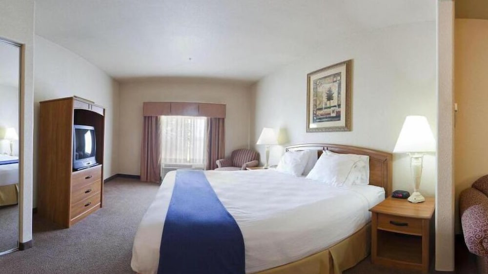Holiday Inn Express Hotel & Suites Mission McAllen Area by IHG - photo 6