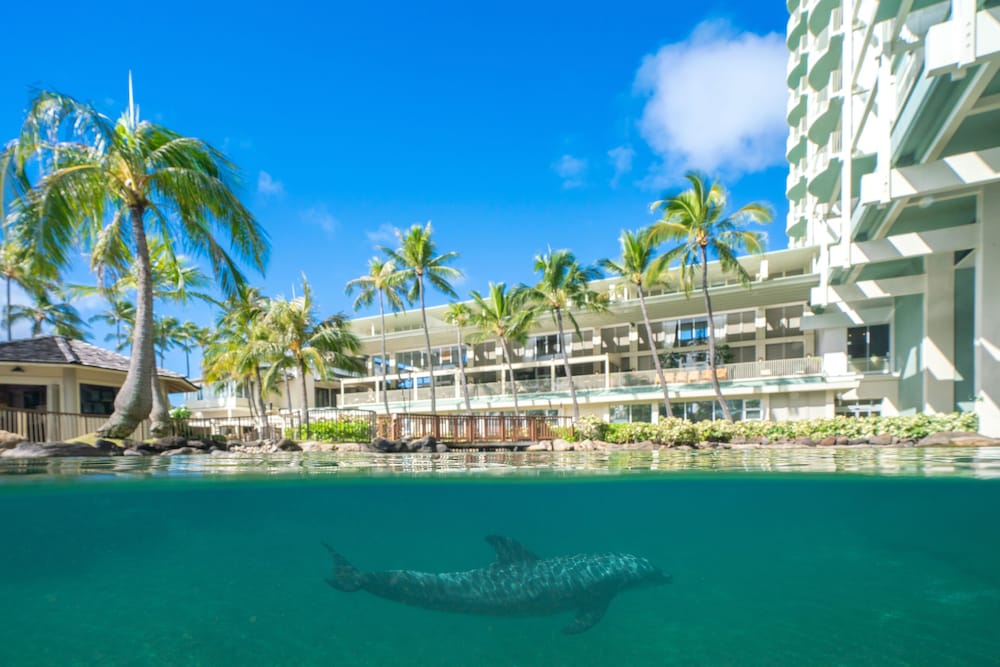 The Kahala Hotel & Resort - photo 94