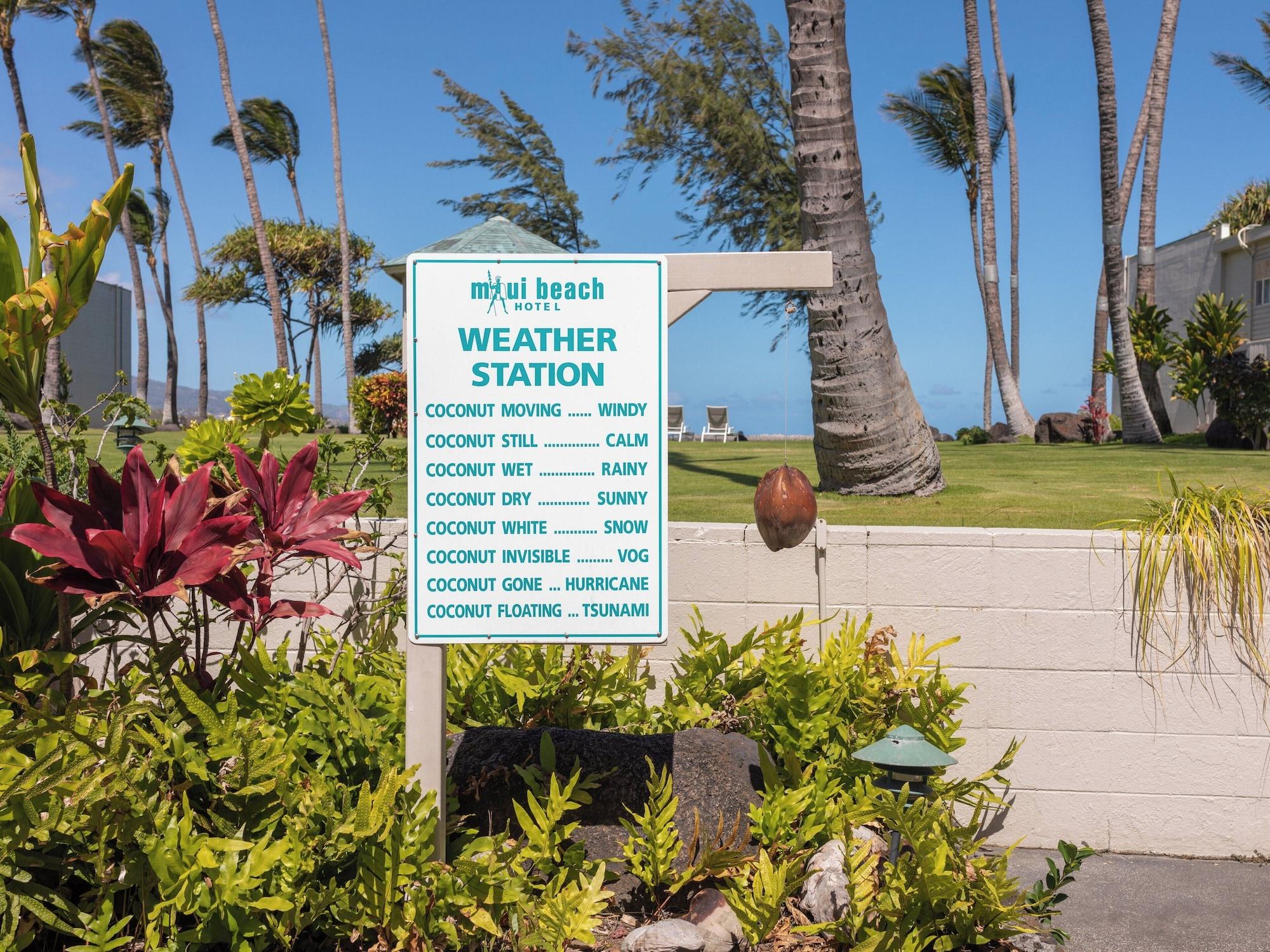 Maui Beach Hotel - photo 18