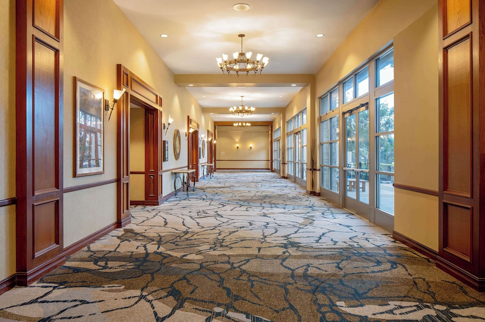 Hilton San Antonio Hill Country - photo 89