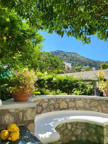 L'agrumeto - carbon neutral hotel in Anacapri