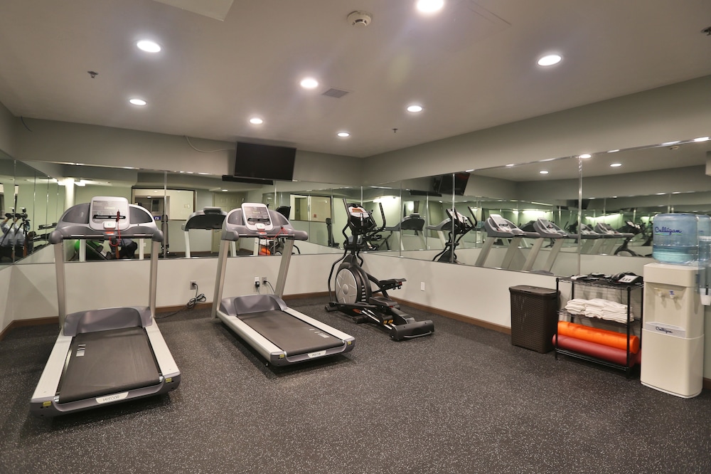 Ivy Court Inn & Suites - photo 29
