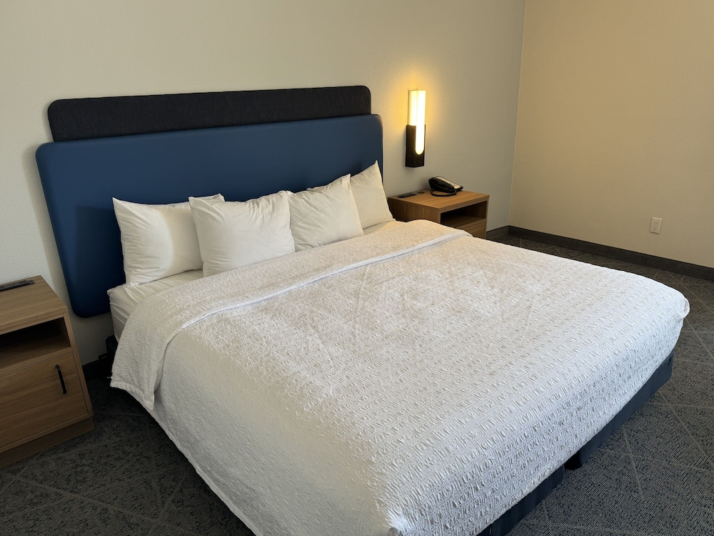 Hampton Inn Mansfield Ontario - photo 7