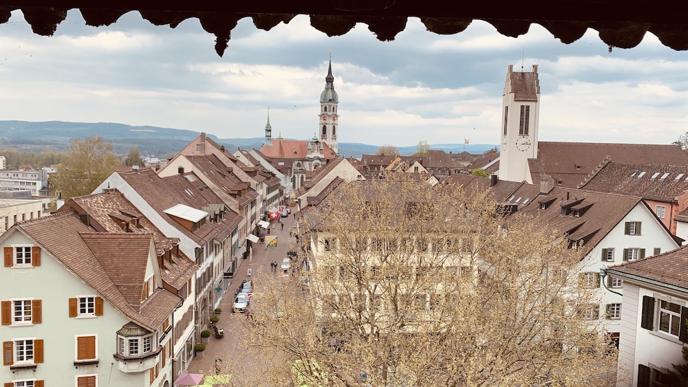 Herziges Apartment Mitten Im Schoenen Thurgau 22243600 — Frauenfeld