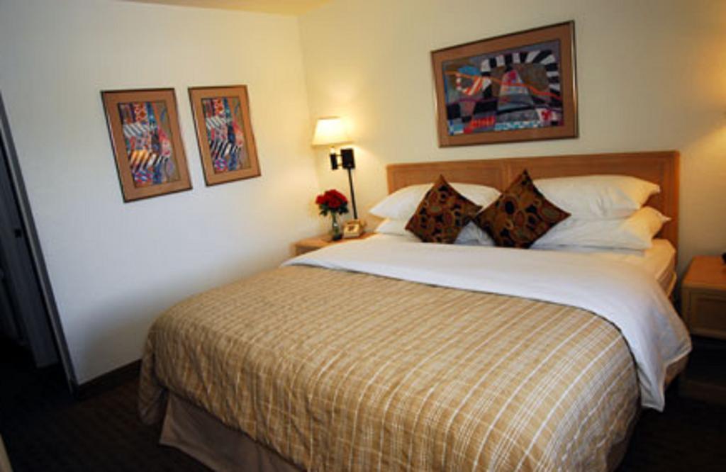 Affordable Inn Denver West - photo 8