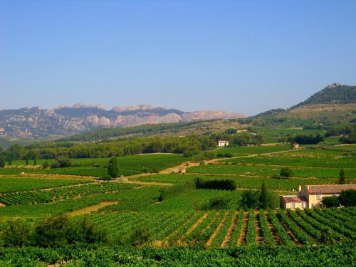 La Dentelli re in Avignon, France