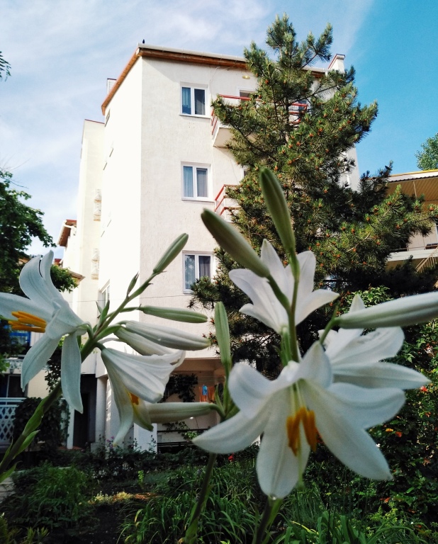 Bely Hotel - last minute hotel in Unknown City
