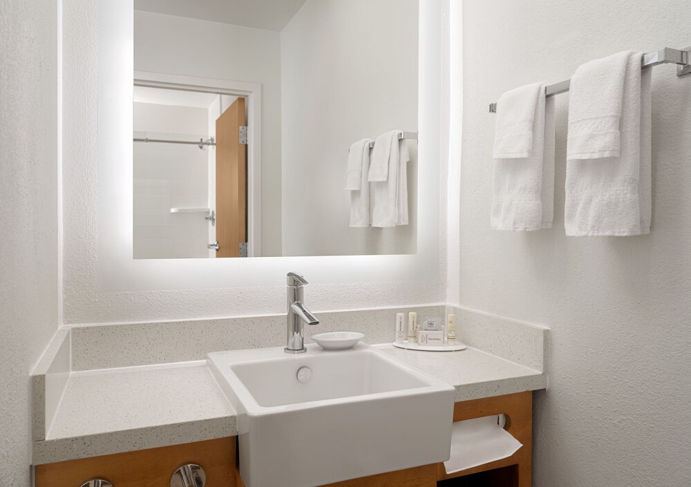 SpringHill Suites Dallas Arlington North - photo 3
