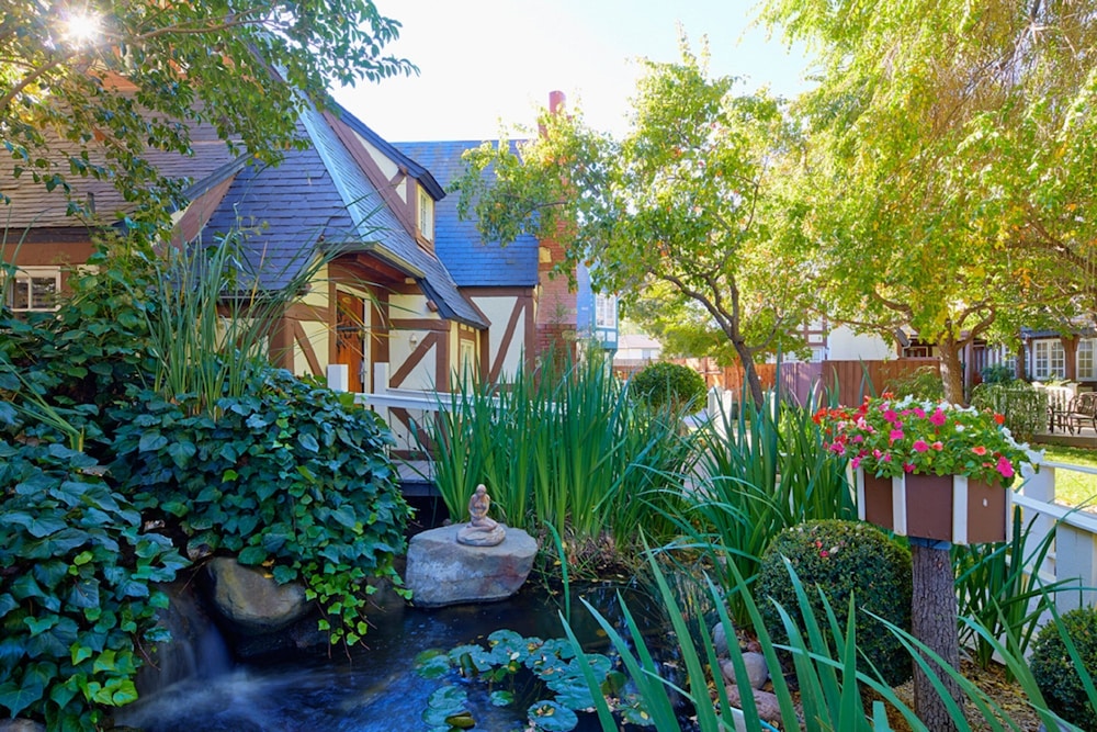Wine Valley Inn - photo 66