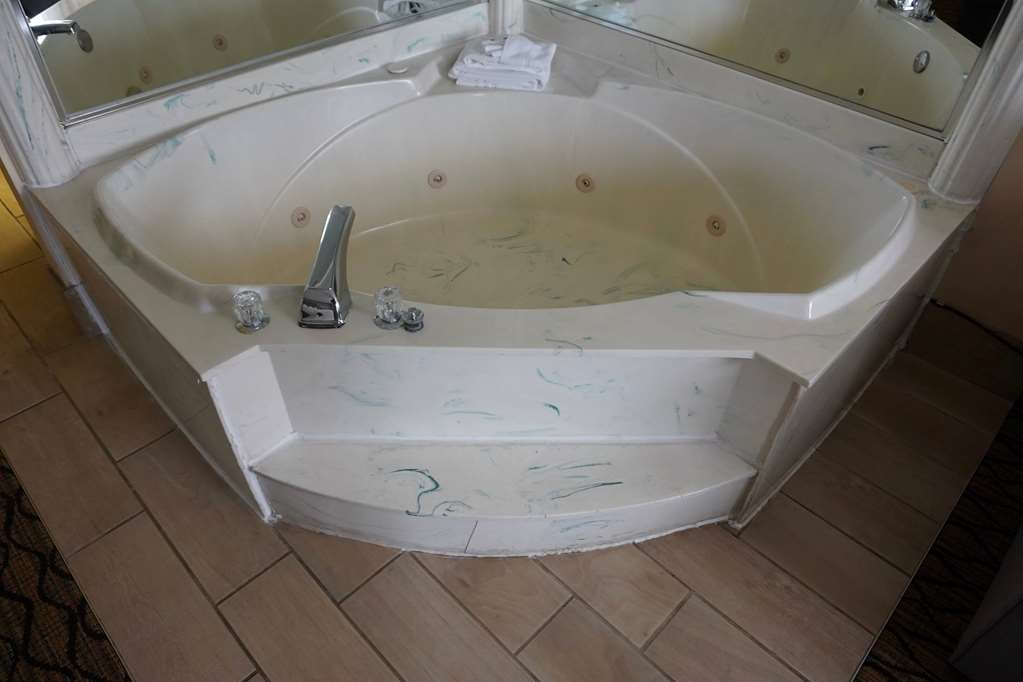 Baymont by Wyndham Bridgeport Frankenmuth - photo 30