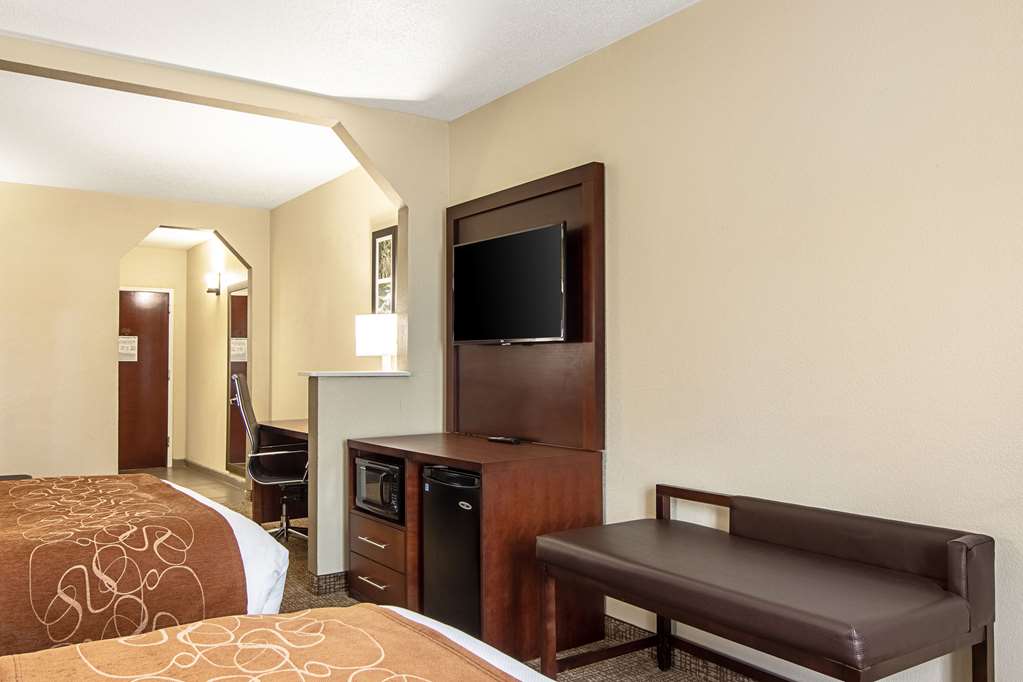 Comfort Suites Knoxville Airport - photo 26