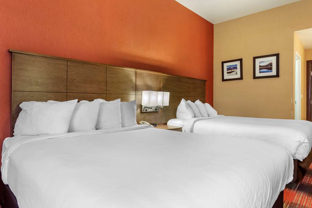 Comfort Inn Flagstaff Lucky Lane I 40 - photo 9