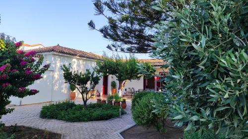 Mediterranean house with beautiful garden — 4-Star Luxury Hotel in Neon Karlovasion, Greece